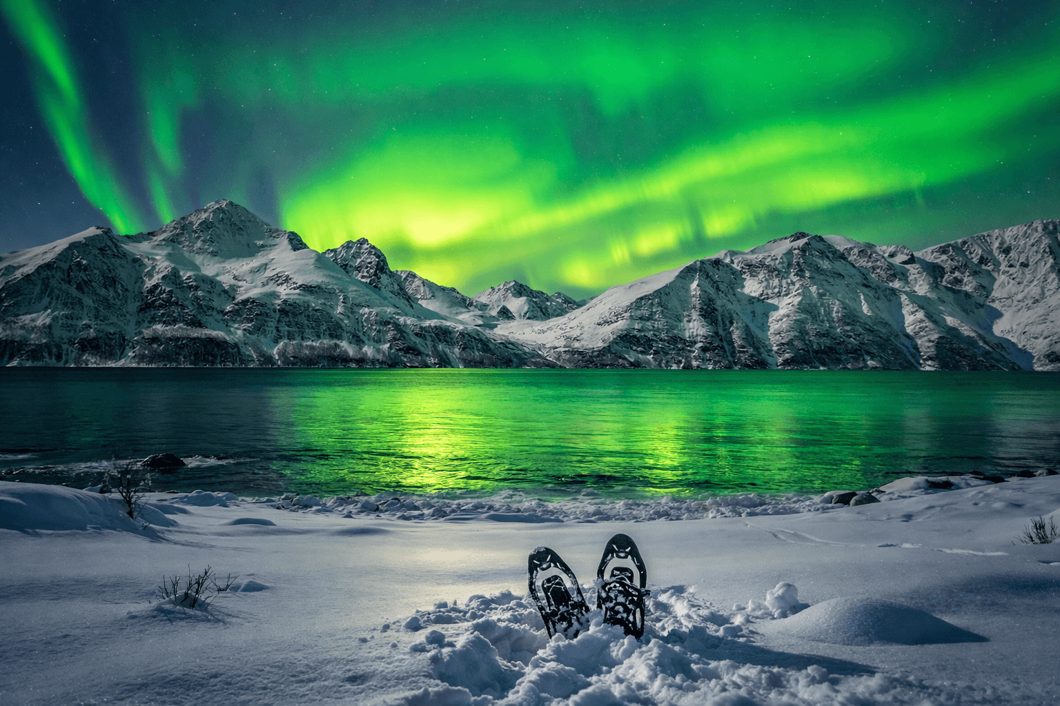 Northern lights over snow-capped Arctic mountains