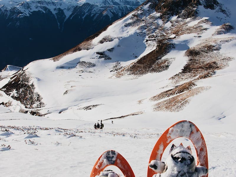 Private Guided Snowshoe Tour — Kaldfjorden — photo 3
